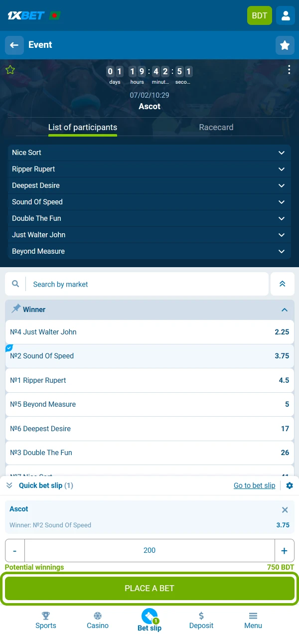 Complete your bet by setting the stake on 1xBet.